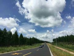 -塞罕坝国家级自然保护区