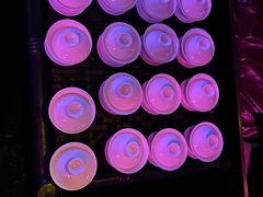 -贰麻酒馆(1912店)