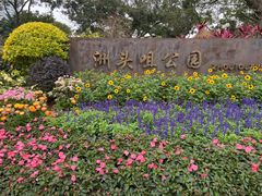 -洲头咀公园