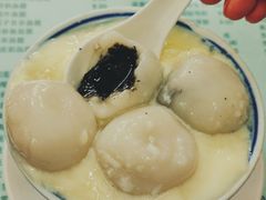 双皮奶汤圆-阿三麻蓉汤圆(顺光大厦店)