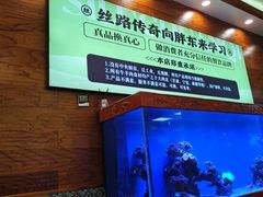 -丝路传奇·中国拉面航母店(北医三院店)