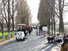 -嘉北郊野公园
