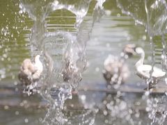 -洛阳市隋唐城遗址植物园