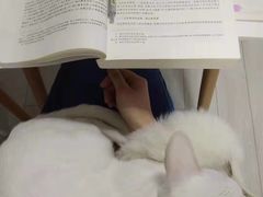 -喵的天空名猫咖啡馆·撸猫·猫舍·用品