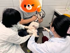 -中国农业大学动物医院