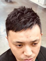 -蚂蚁造型俱乐部