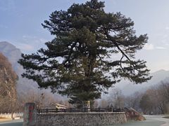 -秦岭终南山世界地质公园翠华山景区