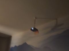 -39°·叁十九度·浴足SPA(龙湖滨江天街总店)