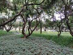 -荔香公园
