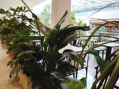 -小菜园新徽菜(北京大兴龙湖天街店)