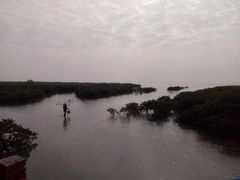 -北海金海湾红树林生态旅游区