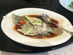 -十八棵（老龙井）御茶园(老龙井店)