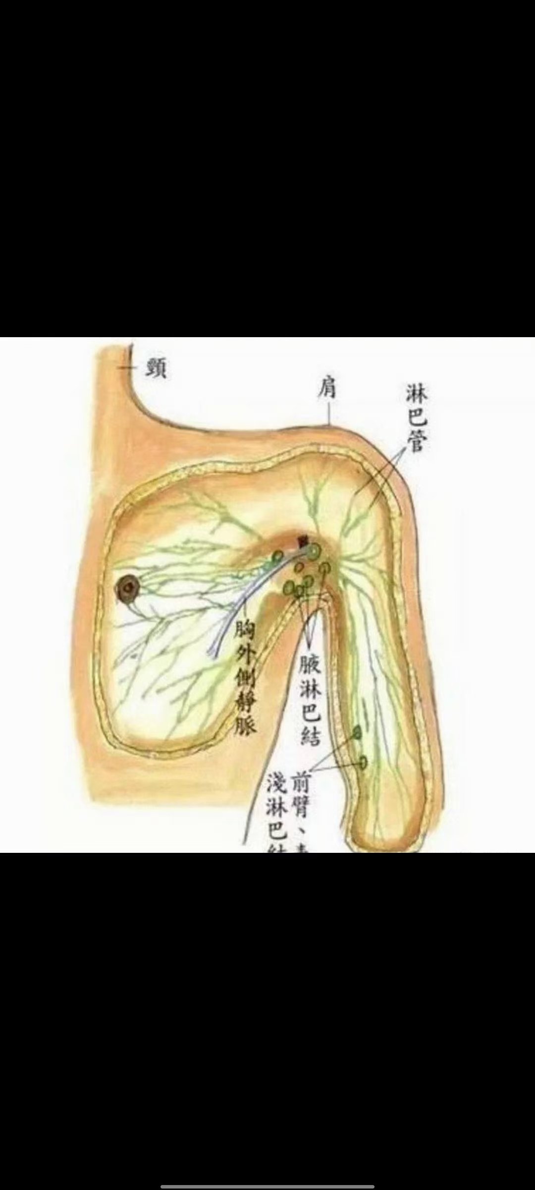 疏通腋下淋巴手法图片图片