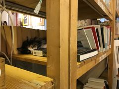 -小时光咖啡馆(开森度假森林店)