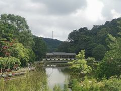 -广州市帽峰山景区