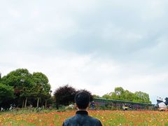 -秀丽东方