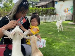 -太阳岛度假酒店