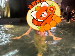 -檀悦都喜天丽度假酒店游泳池