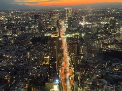 -六本木新城展望台(东京城市景观)