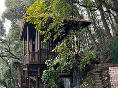 -南山植物园