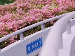 -深圳仙湖植物园-停车场