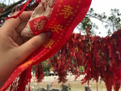 许愿树-南沙天后宫景区