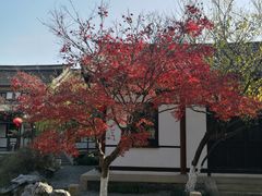 -常熟方塔园
