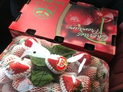 -双福水果批发市场
