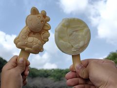 -苏州上方山国家森林公园