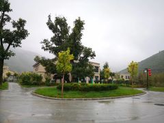 景点-黄龙山原始森林景区