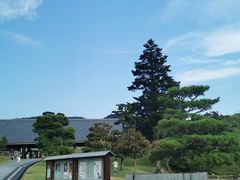 -奈良公园