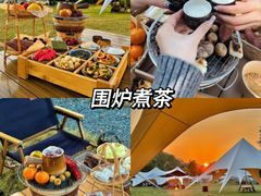 -栖露营camping·天幕烧烤·团建拓展·采摘营地