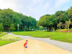 -文华公园(禅城区)