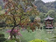 -云溪植物园