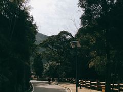 -花溪风景区