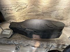 -白鹤梁水下博物馆