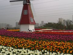 -菊园百果园
