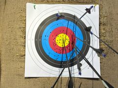 -蓝天射箭馆·专业射箭运动(诚丰广场店)