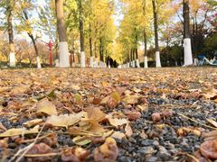 -金陵图书馆