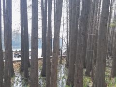 -东湖落雁景区