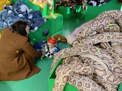 -宜家家居(四元桥商场店)
