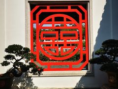 -广东花都湖国家湿地公园