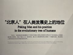 -北京周口店北京人遗址博物馆
