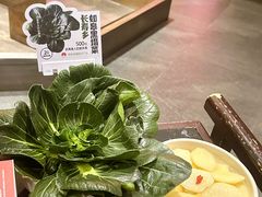 定西土豆-巴蜀大将火锅(春熙店)