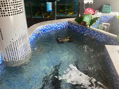 -常株潭·湖南家宴·团建宴会厅(西乡店)