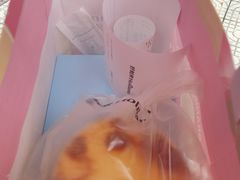 -好利来(高新枫叶广场店)