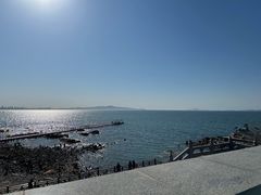 -养马岛旅游度假区