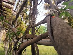 -永定河休闲森林公园