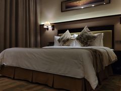 -惠州惠阳丽景国际花园酒店(市政广场店)