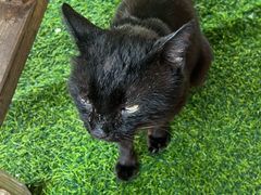 -北港方记海鲜楼·海景餐厅